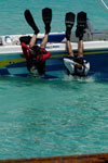 Dive trip